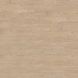 Вінілова підлога Amorim Hydrocork Promo Wheat Pine B5R3002 B5R3002/PROMO фото 2